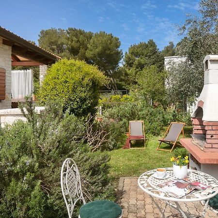 Apartments Valter 881 Novigrad Istria المظهر الخارجي الصورة