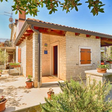 Apartments Valter 881 Novigrad Istria المظهر الخارجي الصورة